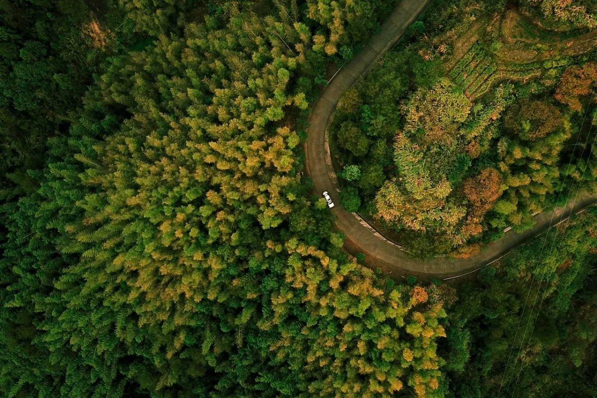 Fotografía aérea con drones: Captura perspectivas únicas de tu negocio en alta resolución